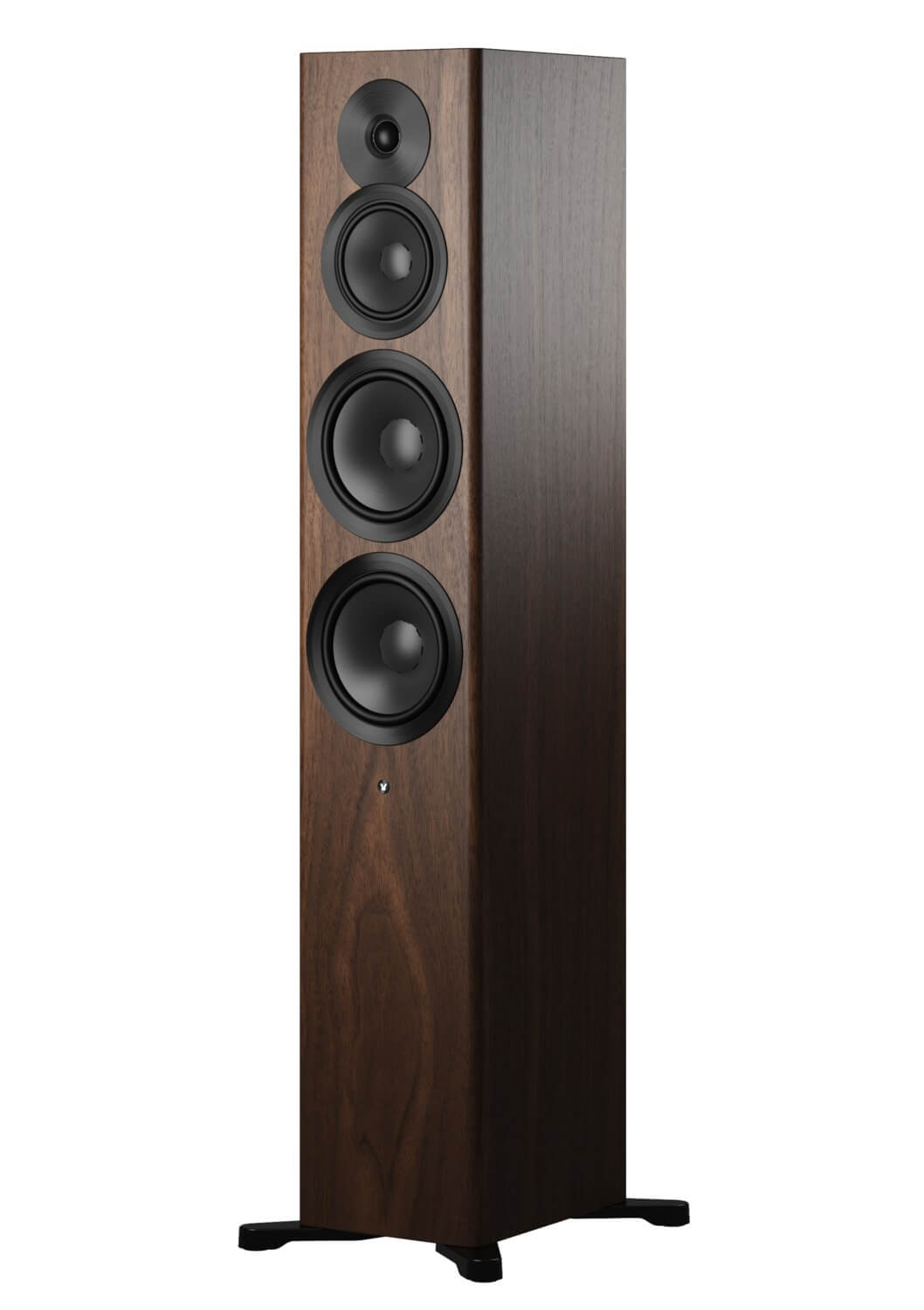 Dynaudio Focus 50 Nussbaum