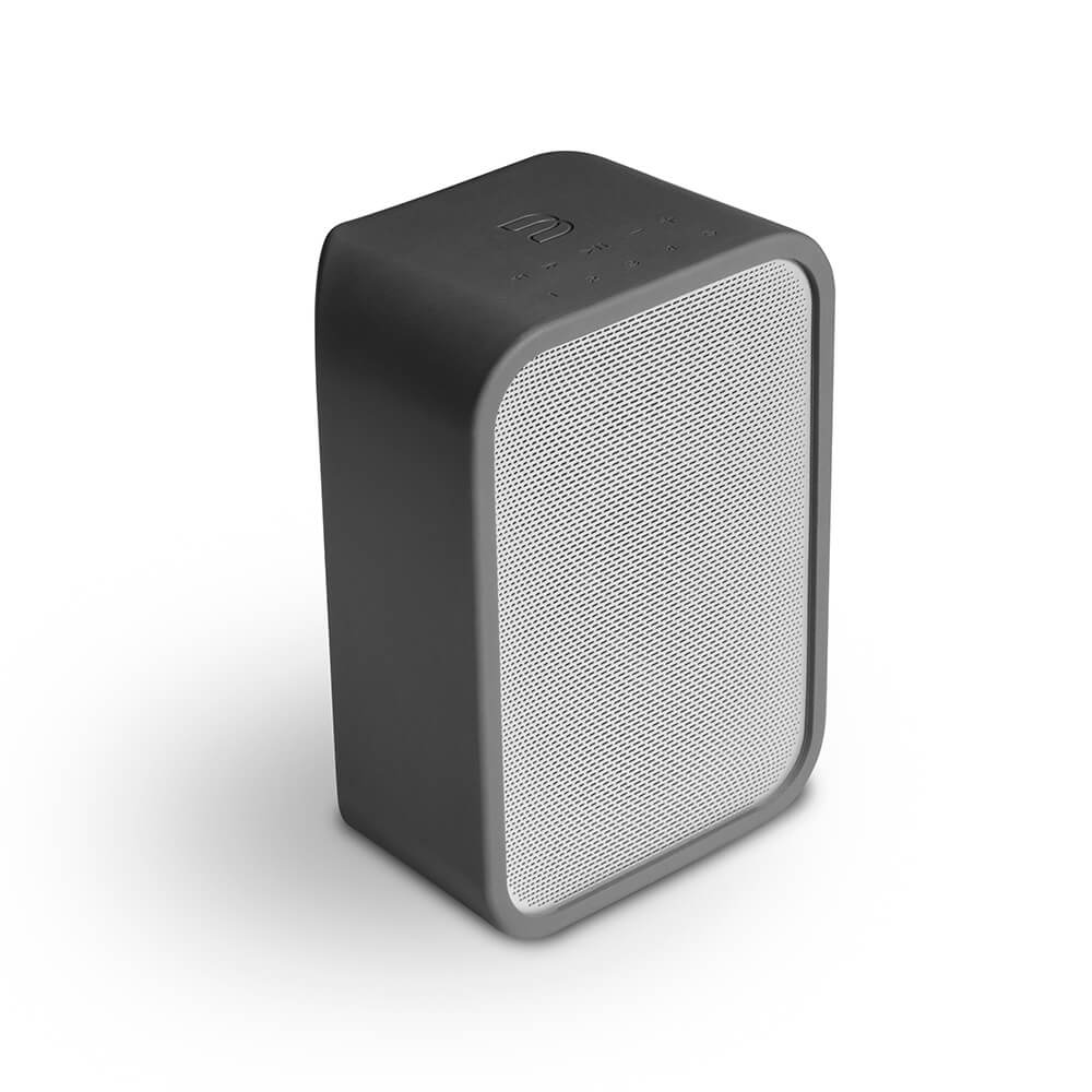 Bluesound Pulse Flex Skin grau
