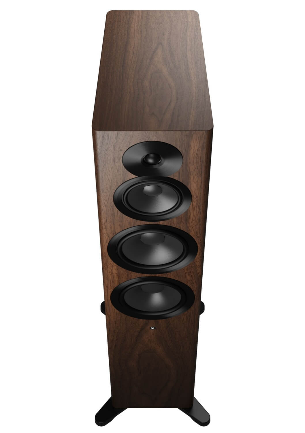 Dynaudio Focus 50 Nussbaum