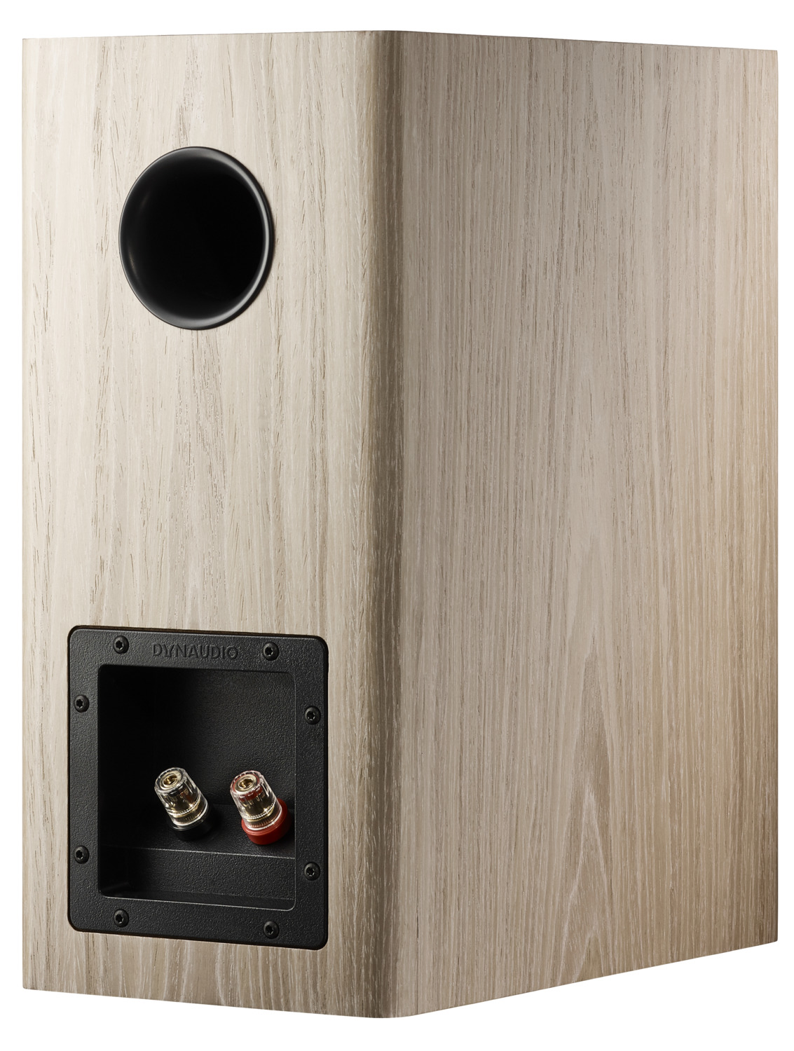 Dynaudio Evoke 20 helles Holz Dynaudio Evoke 20 helles Holz