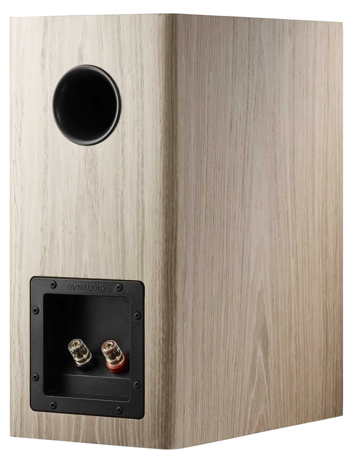 Dynaudio Evoke 20 helles Holz