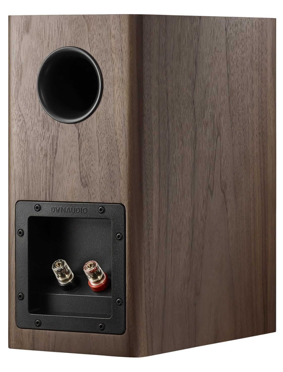 Dynaudio Evoke 10 walnuss