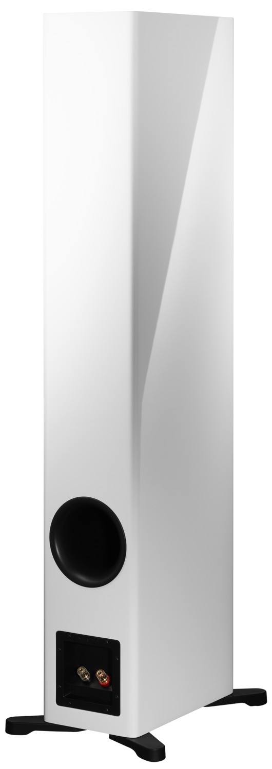 Dynaudio Evoke 50 weiss Hochglanz
