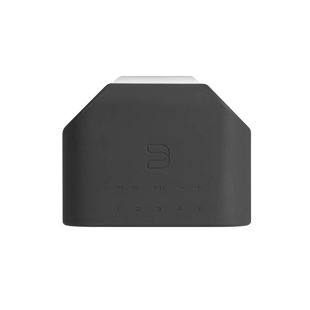 Bluesound Pulse Flex Skin grau
