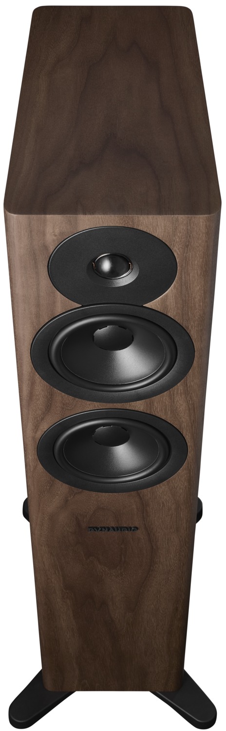 Dynaudio Evoke 30 Nussbaum